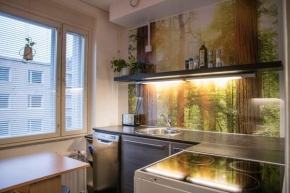 Iso perheasunto keskustassa, Särkänniemen lähellä Tampere